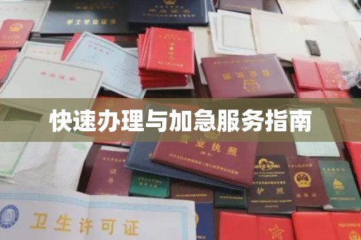 运城快速办理与加急服务指南