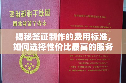 运城揭秘签证制作的费用标准，如何选择性价比最高的服务？
